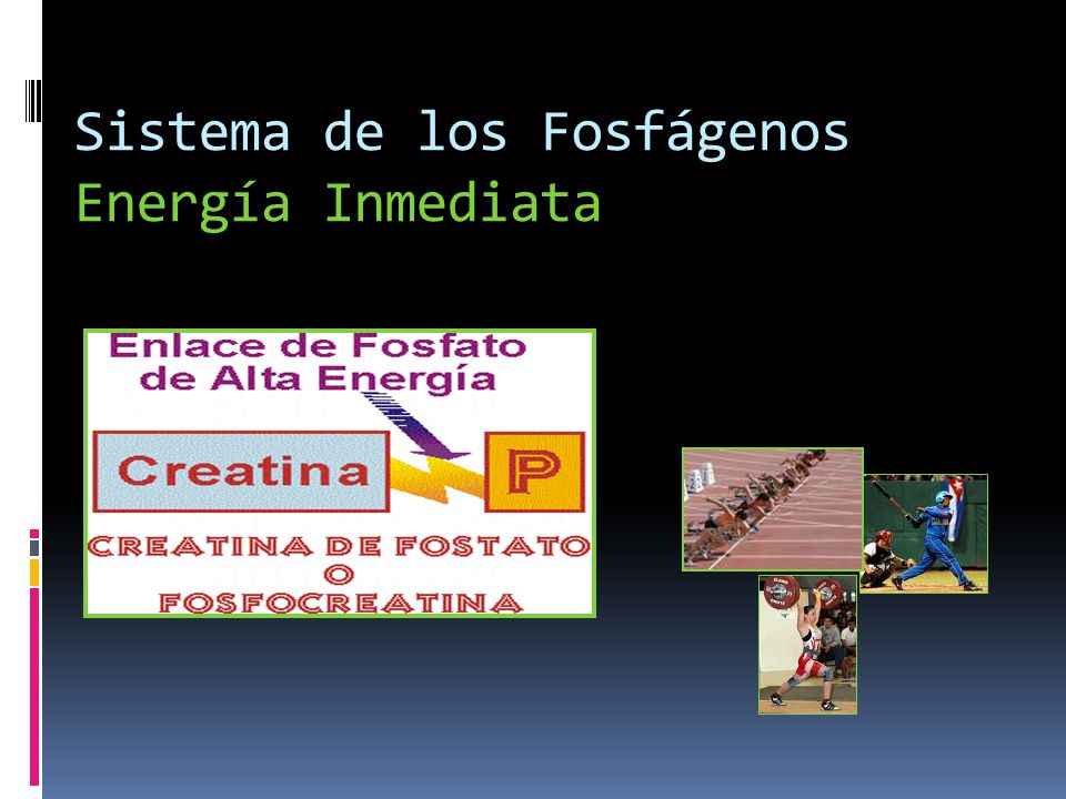 que es el sistema de los fosfagenos que es el sistema de los fosfagenos